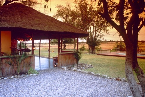 Drifters Maun Lodge terrein